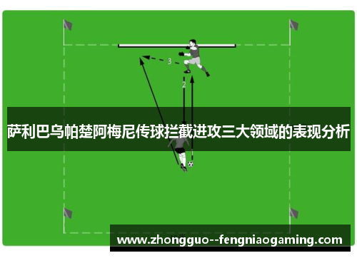 萨利巴乌帕楚阿梅尼传球拦截进攻三大领域的表现分析