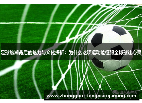 足球热潮背后的魅力与文化探析：为什么这项运动能征服全球球迷心灵