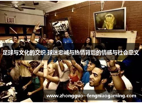 足球与文化的交织 球迷忠诚与热情背后的情感与社会意义